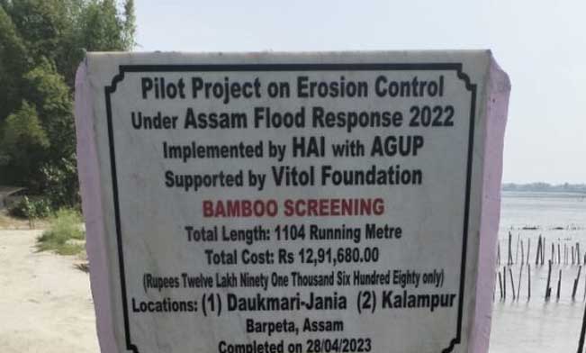 Bamboo Screening Board