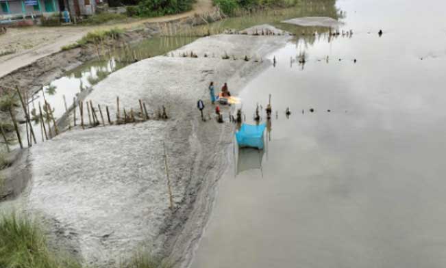 The Results Showcased Reduced Erosion and Increased Siltation in the Treated Area.